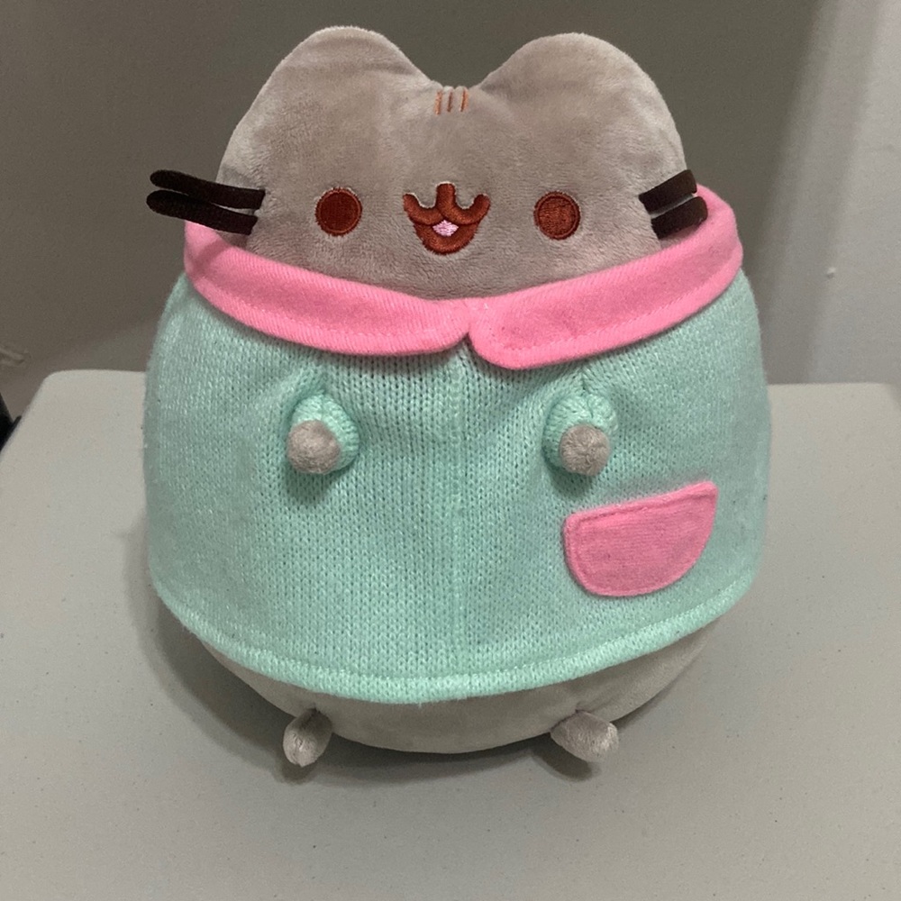 Winter Aqua Sweater Pusheen Cat